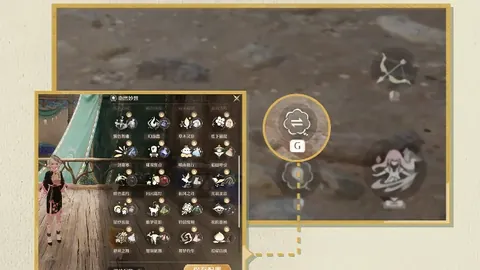 大乐透期号贝西克塔斯专家推荐分析前区十码预测